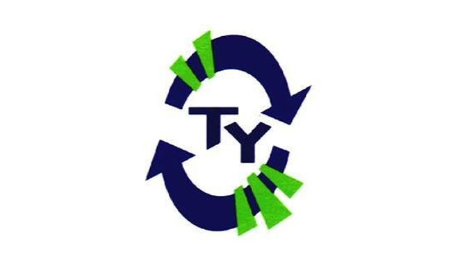transition year logo