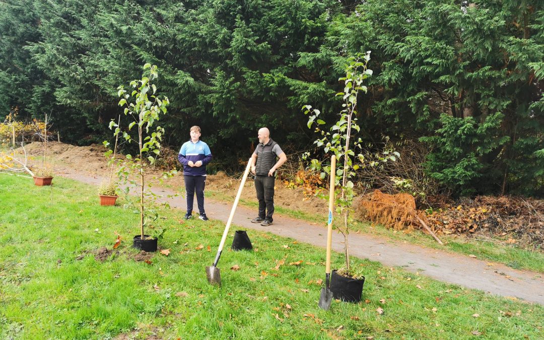 Biodiversity and sustainability