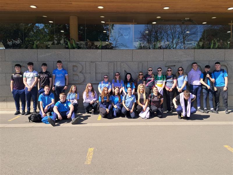 6th Year Ecology Workshop